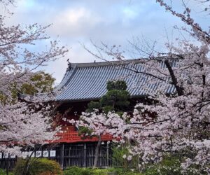 3月例会（総会）のお知らせ